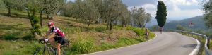 Cycling in Tuscany with BikeRentalsPlus