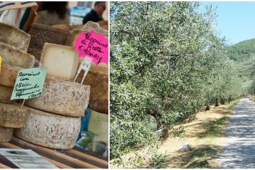 Bicycling Umbria