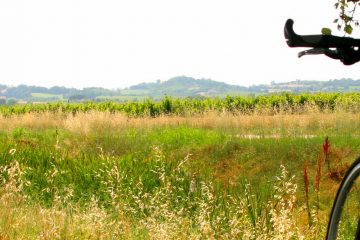 Self-Guided cycling in Emilia Romagna, Italy